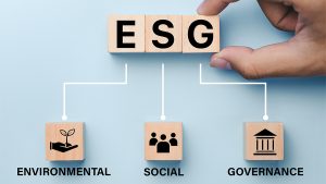 ESG Due Diligence
